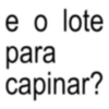 e o lote para capinar?