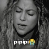 Shakira memes 18