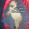 slc vou de dormes Omacintosh1984