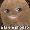 a la ele phodão