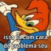 Pica pau debochado 🤣 7