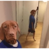 Shitpost Random 😭 5