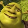 Charming Shrek Smile