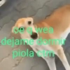 Shitpost V.2😎 6