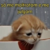 só me maltratam e me julgam