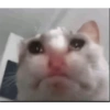 Gianella te amo  7