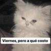 Viernes, pero a qué costo