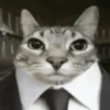 Random Cat's 🐈🐈‍⬛ 8
