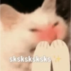 Gatitos Memes😺✨💕10 7