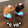 *c va* +