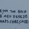 Cantadas pra conquistar 10