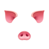 Face filter 5