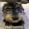 Aleatórios 3 11