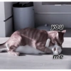 you me