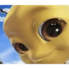 Novas 2025 21