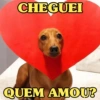 CACHORROS ENGRAÇADINHOS 🐶 9