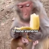 Memes 31 24