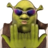 Estilo Sherk💚 13