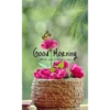 Good morning 42