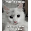 maafin aku ya janji pasti besok gitu lagi kok