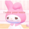I miss your voice