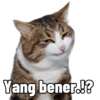 Yang bener.!?