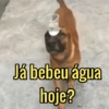 Já bebeu água hoje?