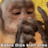 Sabrá Dios kien eres