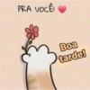 Bom dia, tarde e noite  6
