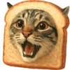 ✨️ Modo Gato 🐈🐱🐈‍⬛ 20