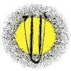 DOZER!oh, and more entities 20