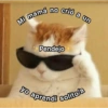 El Más Pijudo🍆 5