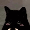 Gatos 2😎 8