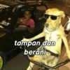 Patrick meme Indonesia 18