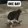 OKE BAY