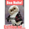 Bom dia boa tarde boa noite 5