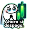 FLORK CRIPTOADICTO 🚀💎📈🌕💰✨ 15