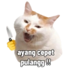 MEME KUCING BUCIN ❤ 14