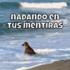 Animalitos para tu chat 13