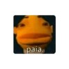 Aleatória 23