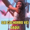 MEMES MOANA 🌺 16