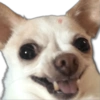 Perritos MooD #2 5