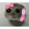 Hamster 😍 21