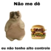 Meme gatos 13