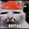 HAYYAA