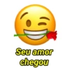 Seu amor chegou