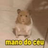 Ratinho debochado  16