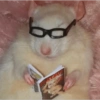 Hamster 12
