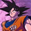 Goku  18