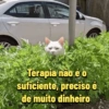 Terapia não é o suficiente, preciso é de muito dinheiro